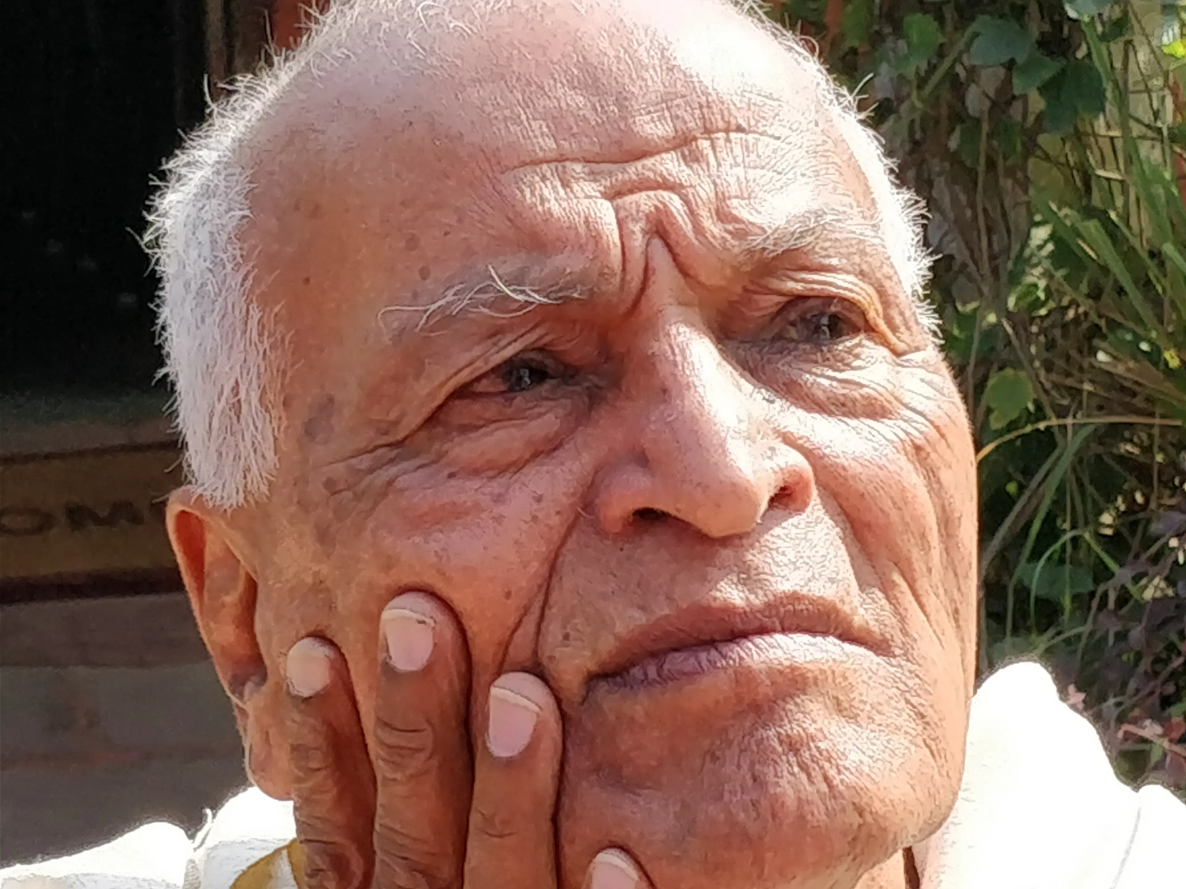 profile-picture