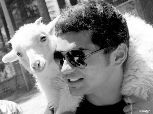 profile-picture